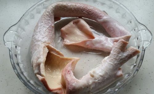 黃喉是什么部位,來自于豬、牛等身上的大血管