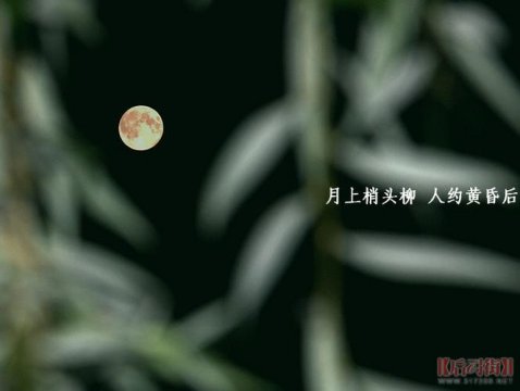 月上柳梢頭人約黃昏后是什么節日