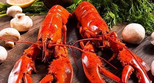 龍蝦的血是什么顏色的