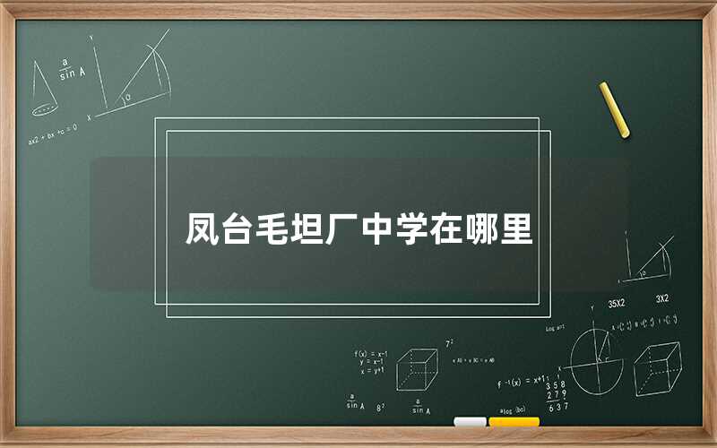 鳳臺毛坦廠中學在哪里（鳳臺毛坦廠中學的具體位置）