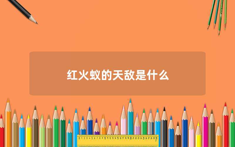 紅火蟻的天敵是什么（紅火蟻是什么昆蟲）