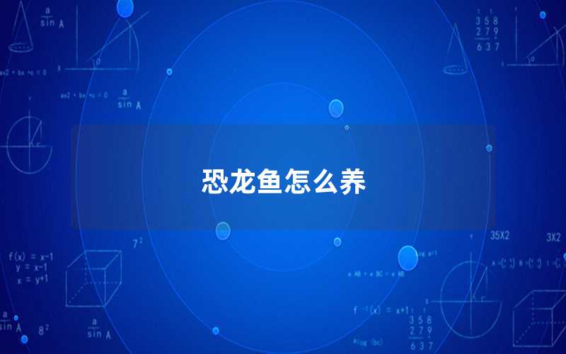 恐龍魚怎么養(yǎng)