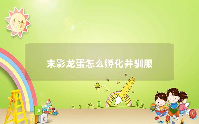 末影龍蛋怎么孵化