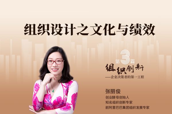 張麗俊-組織創新之文化與績效視頻教程