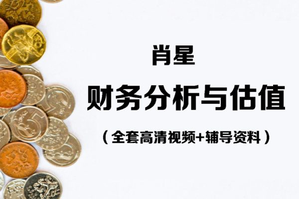 肖星-財(cái)務(wù)分析與估值 （全套高清視頻+輔導(dǎo)資料）