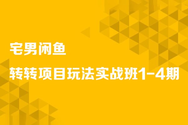 宅男閑魚-轉轉項目玩法實戰班1-4期