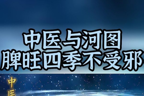 河圖與經(jīng)典中醫(yī)4講