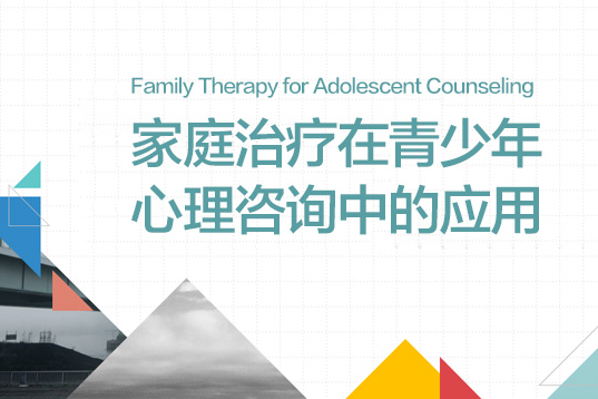 龍迪 家庭治療在青少年心理咨詢中的應(yīng)用