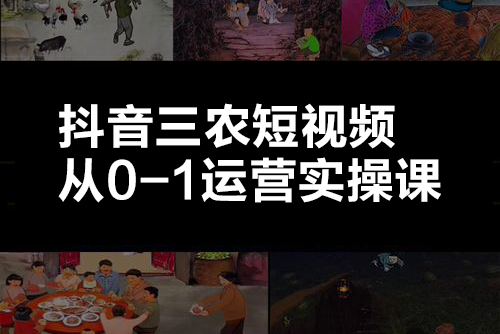 抖音三農(nóng)短視頻從0-1運營實操課（30節(jié)視頻）
