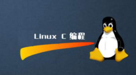 linux C/C++ —碼農有道