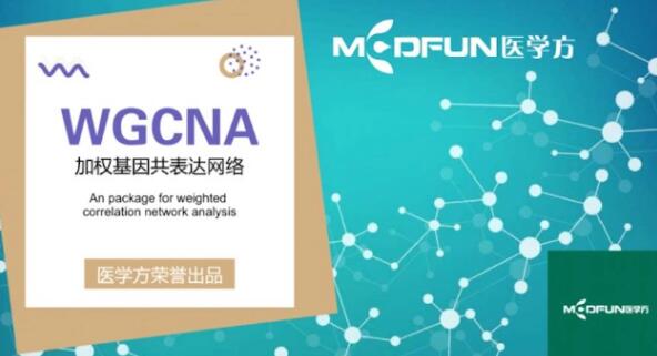 豪斯醫生數據挖掘之WGCNA詳解