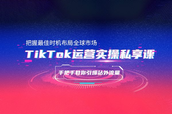 TikTok+獨(dú)立站零基礎(chǔ)入門到精通，跨境電商獨(dú)立站新手必學(xué)課