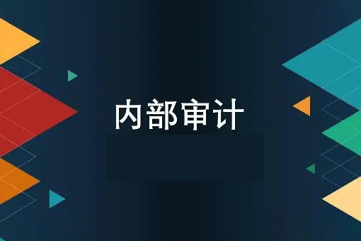 中華內部審計講解課程（視頻11集）