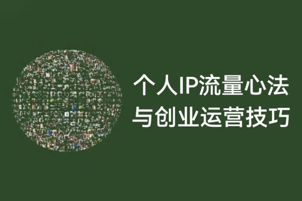 個人IP流量心法與創業運營技巧