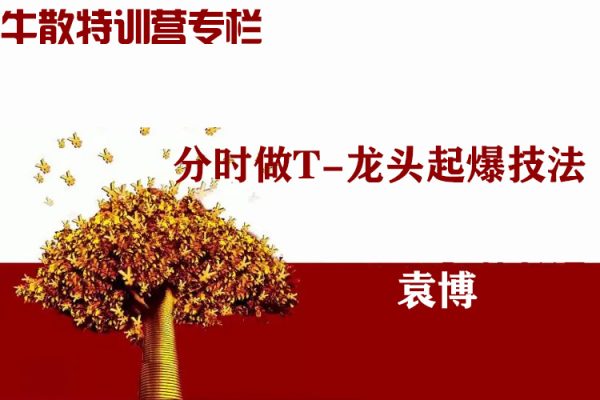 袁博-分時做T-龍頭起爆技法