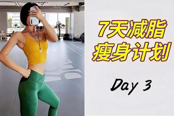 DY七日瘦身美體計(jì)劃 東方舞基礎(chǔ)梳理