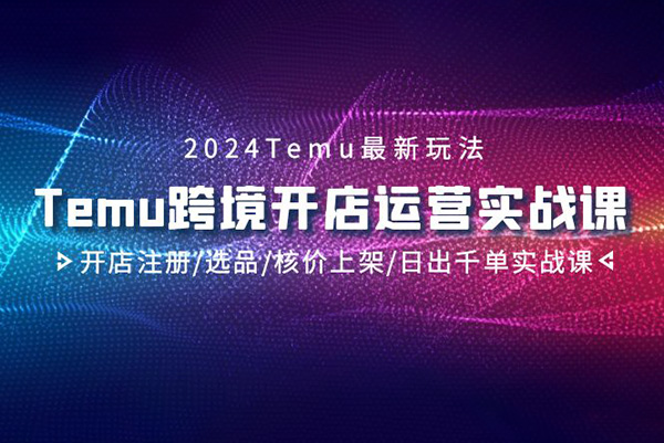2024年Temu跨境開店運營實操課，開店注冊/選品/核價上架/日出千單實戰課