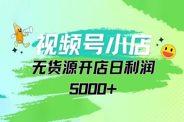 視頻號無貨源小店從0到1日訂單量千單以上純利潤穩穩5000+【揭秘】