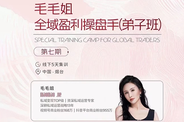 毛毛姐·全域盈利商業大課，做懂流量的操盤手，打通公域引流+私域強變現