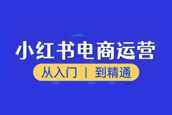 小紅書電商運營從入門到精通課，電商店群實戰，從0開始到學會