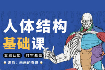 春哥人體結構基礎課第13期