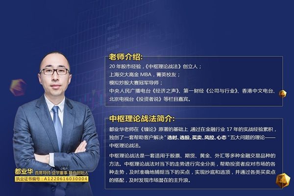 都業華財富錦囊《中樞理論戰法》2024年中樞新系統課 視頻+文檔