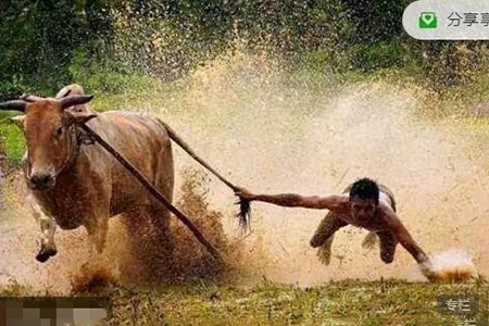 只會(huì)炒股2023年8-10月 股哥秋收班視頻課程