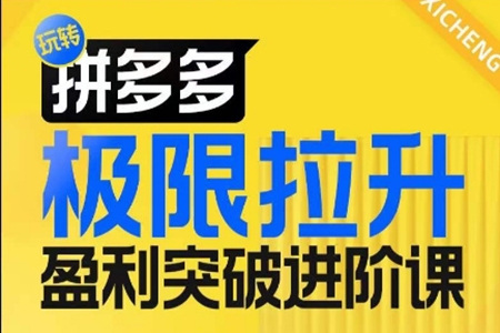 拼多多極限拉升盈利突破進階課，從算法到玩法，從玩法到團隊搭建，體系化系統性幫助商家實現利潤提升