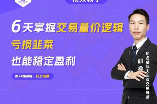 6天掌握交易量價邏輯，虧損韭菜也能穩(wěn)定盈利 | 威科夫6天交易小白課