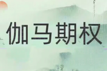 伽馬期權(quán)2024年課程
