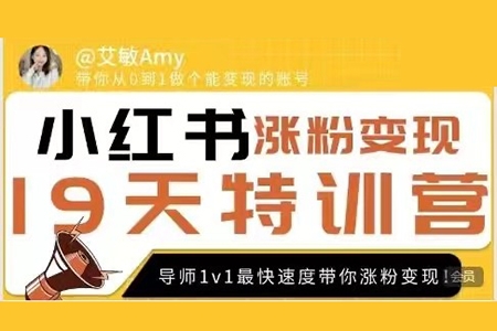 艾敏19天小紅書漲粉變現特訓營