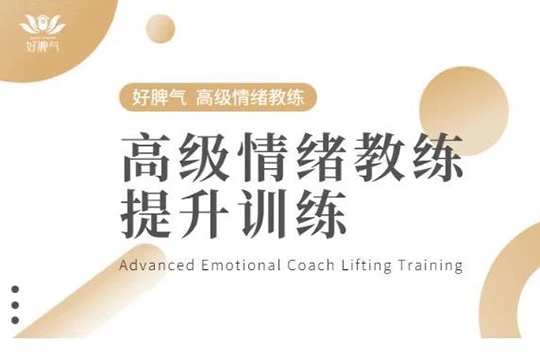 高級情緒教練提升訓(xùn)練