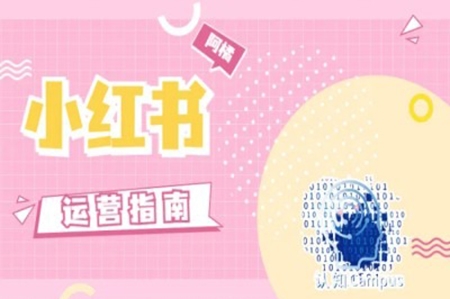 小紅書運營指南，沒有套路，全是經(jīng)驗