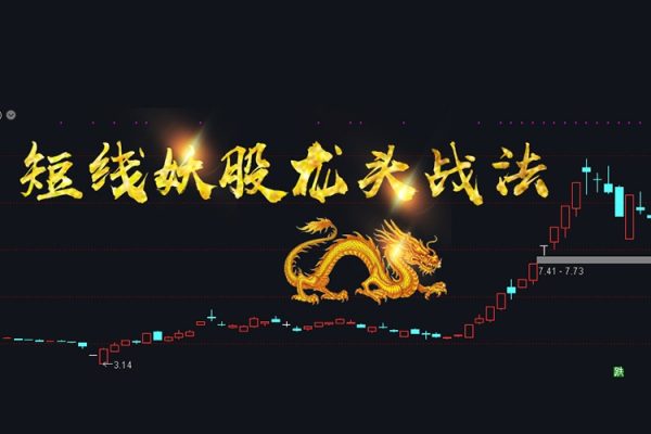 90天股票職業(yè)龍頭實(shí)戰(zhàn)特訓(xùn)圈子（季度圈）