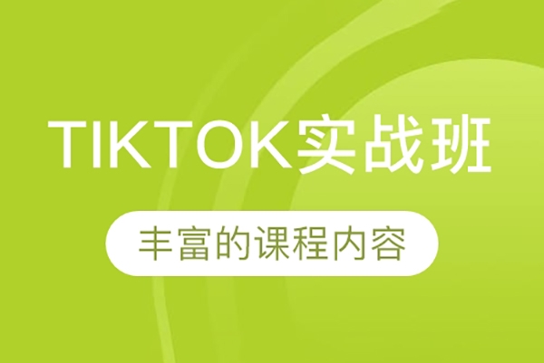 TikTok達人實戰課，Tiktok達人變現全套流程