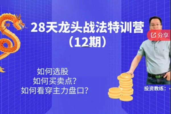 天智一飛28天龍頭戰(zhàn)法特訓營（12期）
