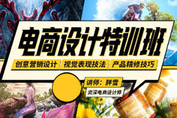 胖雪電商設(shè)計(jì)速成班