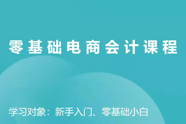 電商財務零基礎入門,基礎認知+基礎實操+進階突破,輕松掌握