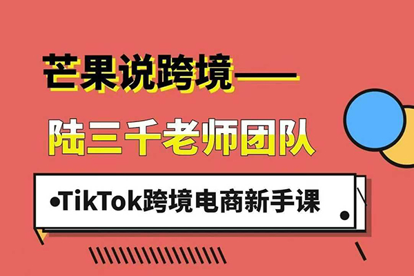 陸三千TikTok跨境電商新手課,TikTok從入門到盈利的全流程!2025年最新最有效的運營策略和平臺規(guī)則。