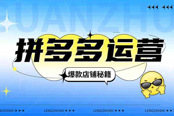 大炮·拼多多全階實戰課程,從新手小白到運營高手