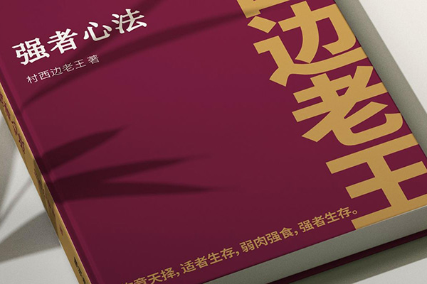 村西邊老王本質心法7.0，視頻課+《本質心法》電子版